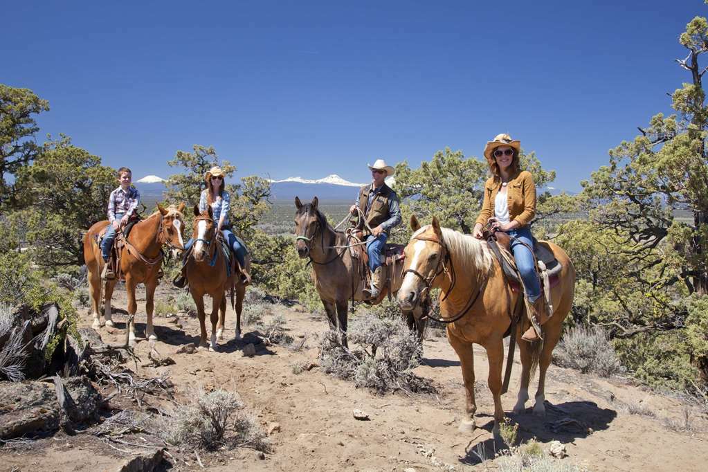 Fess Parker Wine Country Inn Лос Оливос Стая снимка