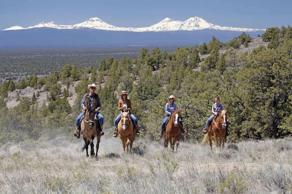 Fess Parker Wine Country Inn Лос Оливос Екстериор снимка