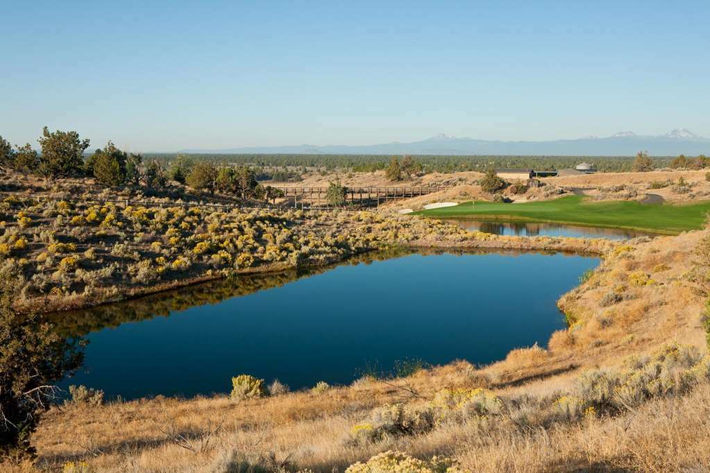 Fess Parker Wine Country Inn Лос Оливос Стая снимка